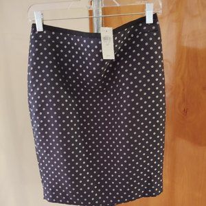 Ann Taylor Polka Dot Skirt